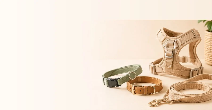 Pet Collars & Harnesses