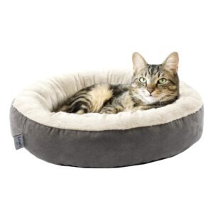 Cats Bed