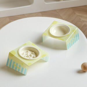 Elevated Ceramic Slow Feeder Cat Bowl with Acrylic Stand