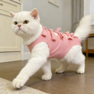 Adjustable Post-Surgery Recovery Suit for Cats & Small Dogs | Anti-Lick Surgical Bodysuit
