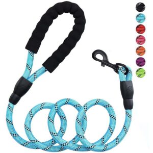 Dog Rope Leash with Soft Padded Handle, Nylon Walking Lead for Medium Large Dogs