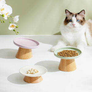 Elevated Ceramic Cat Bowl with Wooden Stand | Anti-Vomiting Pet Feeding Dish