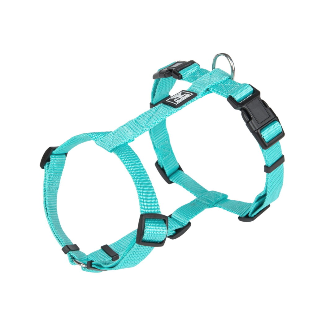 Lightweight Adjustable Dog Harness Vest with Leash Attachment