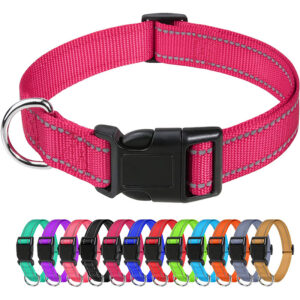 Adjustable Nylon Dog Collar with Multi-Color Options