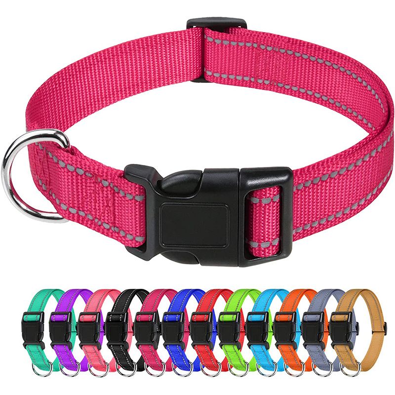 Adjustable Nylon Dog Collar with Multi-Color Options