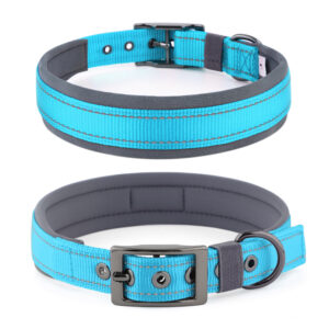 Reflective Nylon Dog Collar with Soft Neoprene Lining