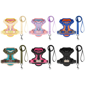 Dog Harness and Leash Set, Breathable No Pull Vest Harness for Small Medium Dogs, Adjustable Walking Training Pet Harness