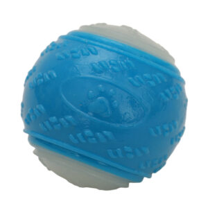 Glow-in-the-Dark Squeaky TPR Ball Dog Toy for Interactive Play