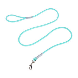 Nylon Braided Dog Leash, Durable Lightweight Walking Lead for Small Medium Dogs